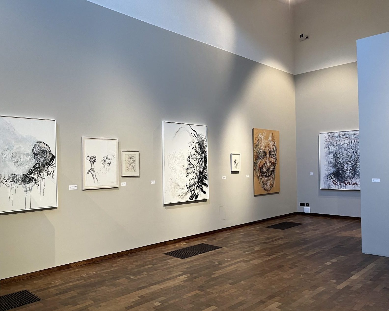 An image taken in the Timothy & Mary Clode Gallery of the Maggi Hambling origins exhibition. There are multiple pieces of contemporary art hung on the walls.