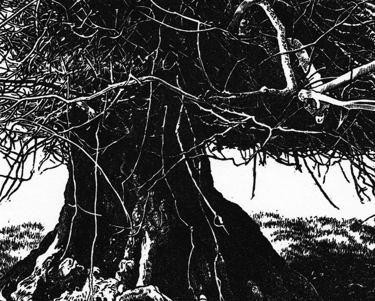 An image of the wood engraving print by Blaze Cyan, A Complicated Life. It is a large tree with lots of small branches pointing in lots of different directions. The print is black ink.