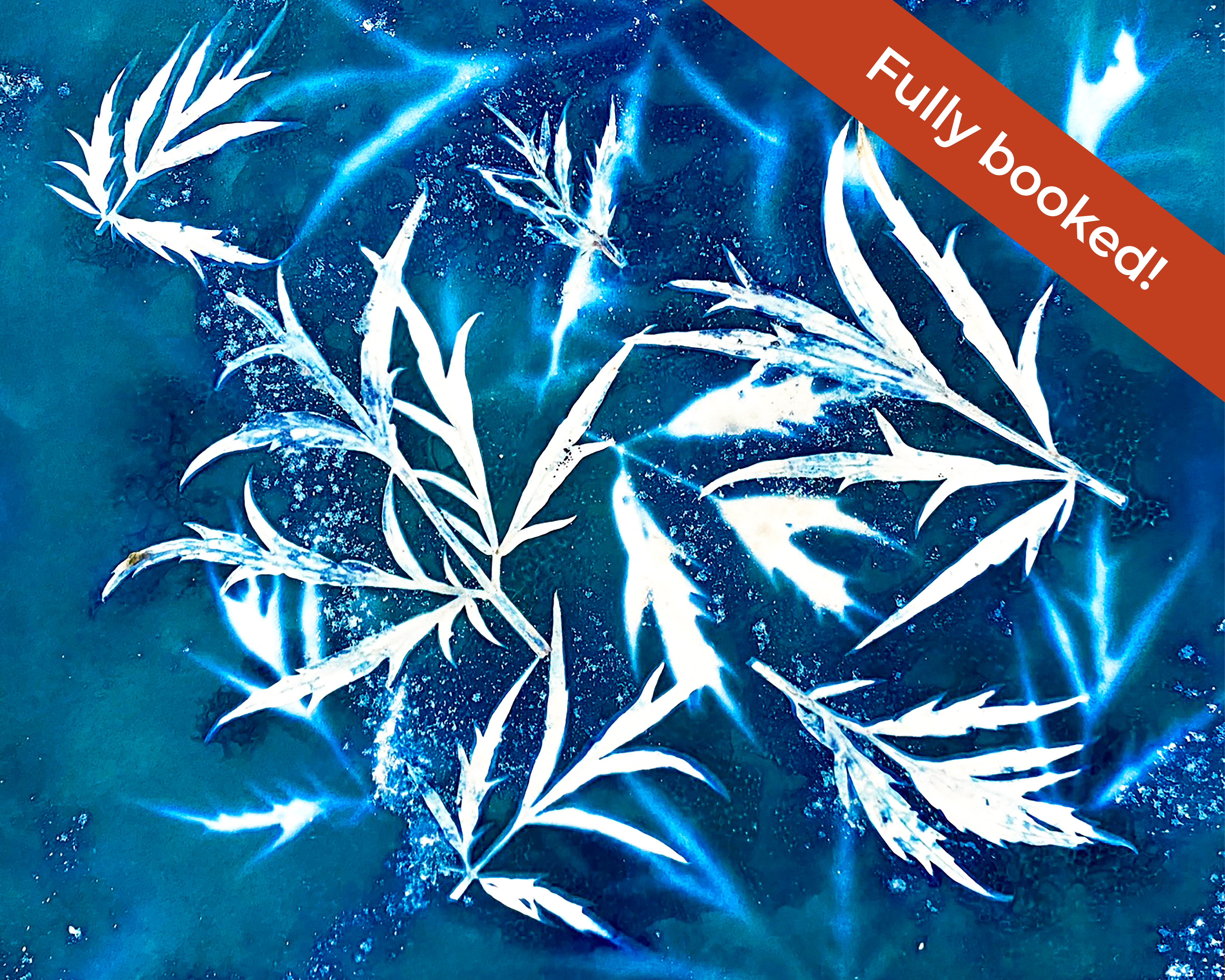 An image of a cyanotype print of elderflower leaves. There is an overlayed red banner on the top right corner which reads: Fully booked!