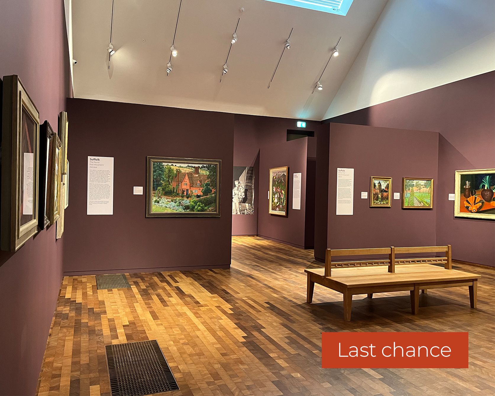 An image taken of the exhibition, Revealing Nature: The Art of Cedric Morris & Lett–Haines, in the Timothy & Mary Clode Exhibition Gallery at Gainsborough's House. There are various artworks hung on plum coloured walls. There is a red rectangle overlayed in the bottom right corner which reads: Last chance.