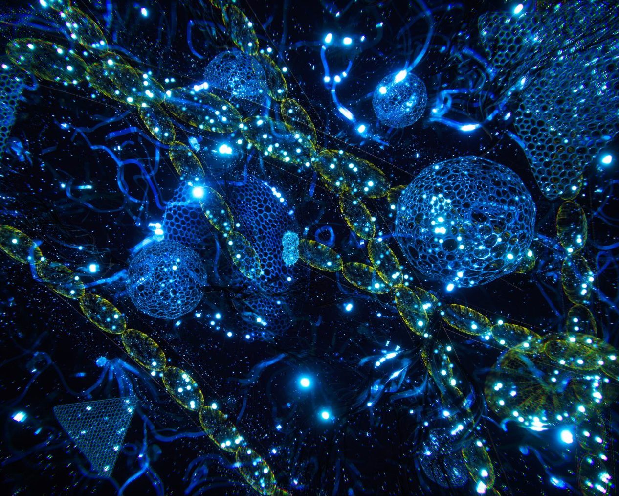 An image from the exhibition, Water Portals by Henry Driver. The image depicts abstract, macro detailed graphics of microscopic life. The main colour is blue.