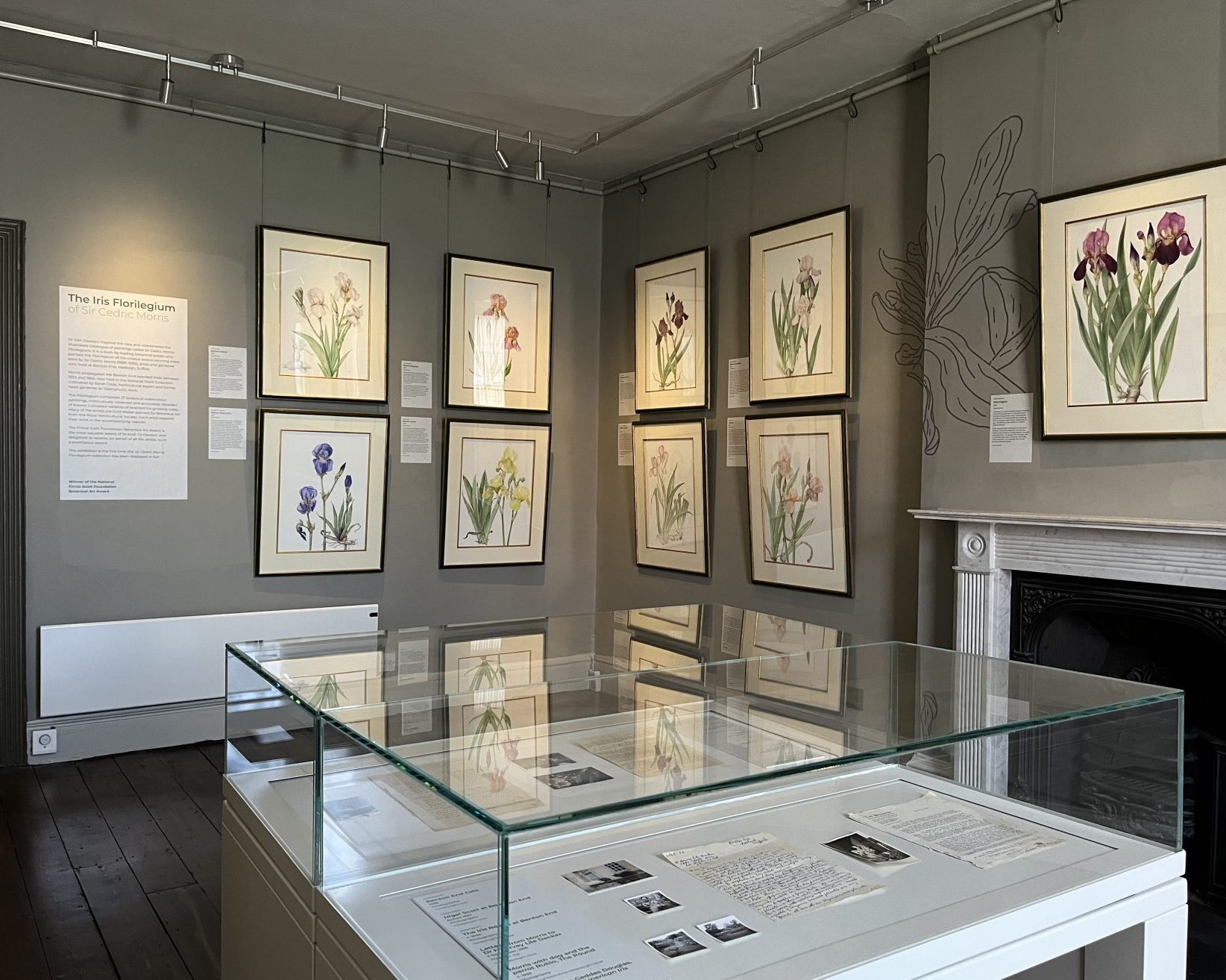An image of The Iris Florilegium of Sir Cedric Morris in the David Pike Drawings Gallery at Gainsborough's House. There are various botanical art illustrations in frames on the wall.