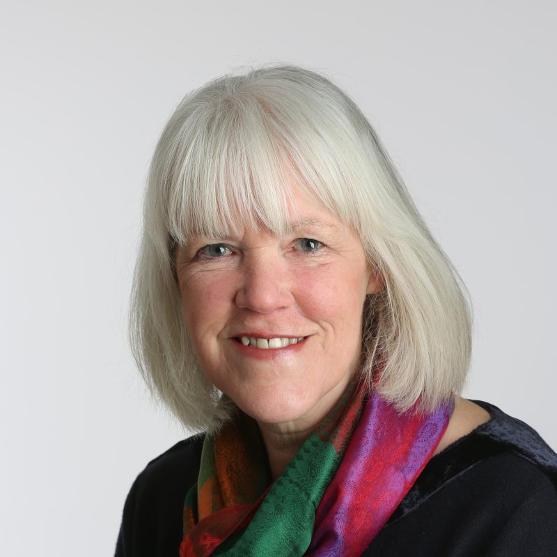 An image of Hilary Taylor. A white woman with a grey bob, she is wearing a pink and green scarf. 