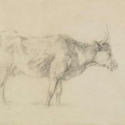 An image of the drawing Standing Cow by Thomas Gainsborough.