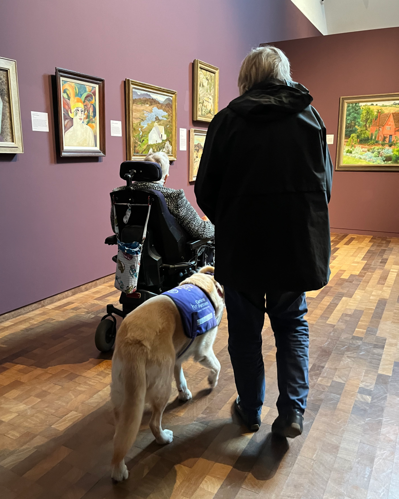 An image of a person walking with a guide dog and someone in an assisted wheel chair.