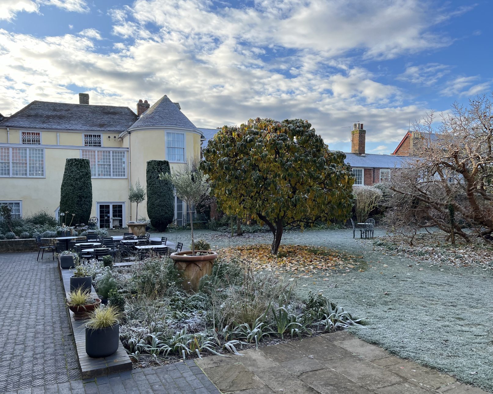 An image of Gainsborough's House garden in the frost.